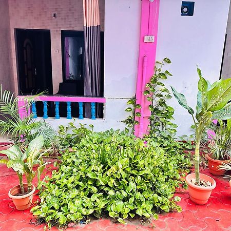 فندق Blue Mirage Palolem Goa كِناكونا المظهر الخارجي الصورة