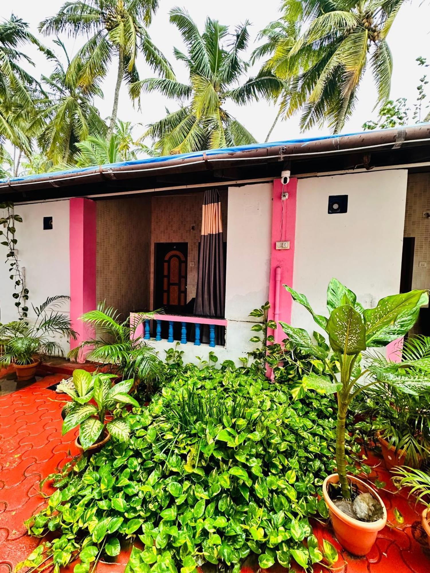 فندق Blue Mirage Palolem Goa كِناكونا المظهر الخارجي الصورة
