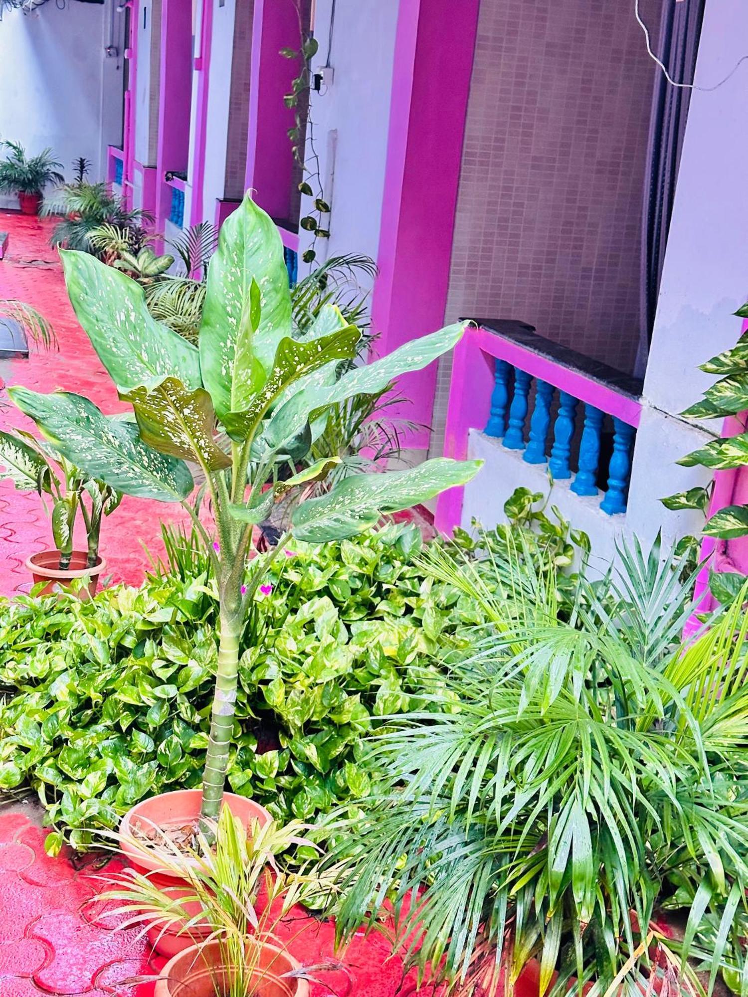 فندق Blue Mirage Palolem Goa كِناكونا المظهر الخارجي الصورة