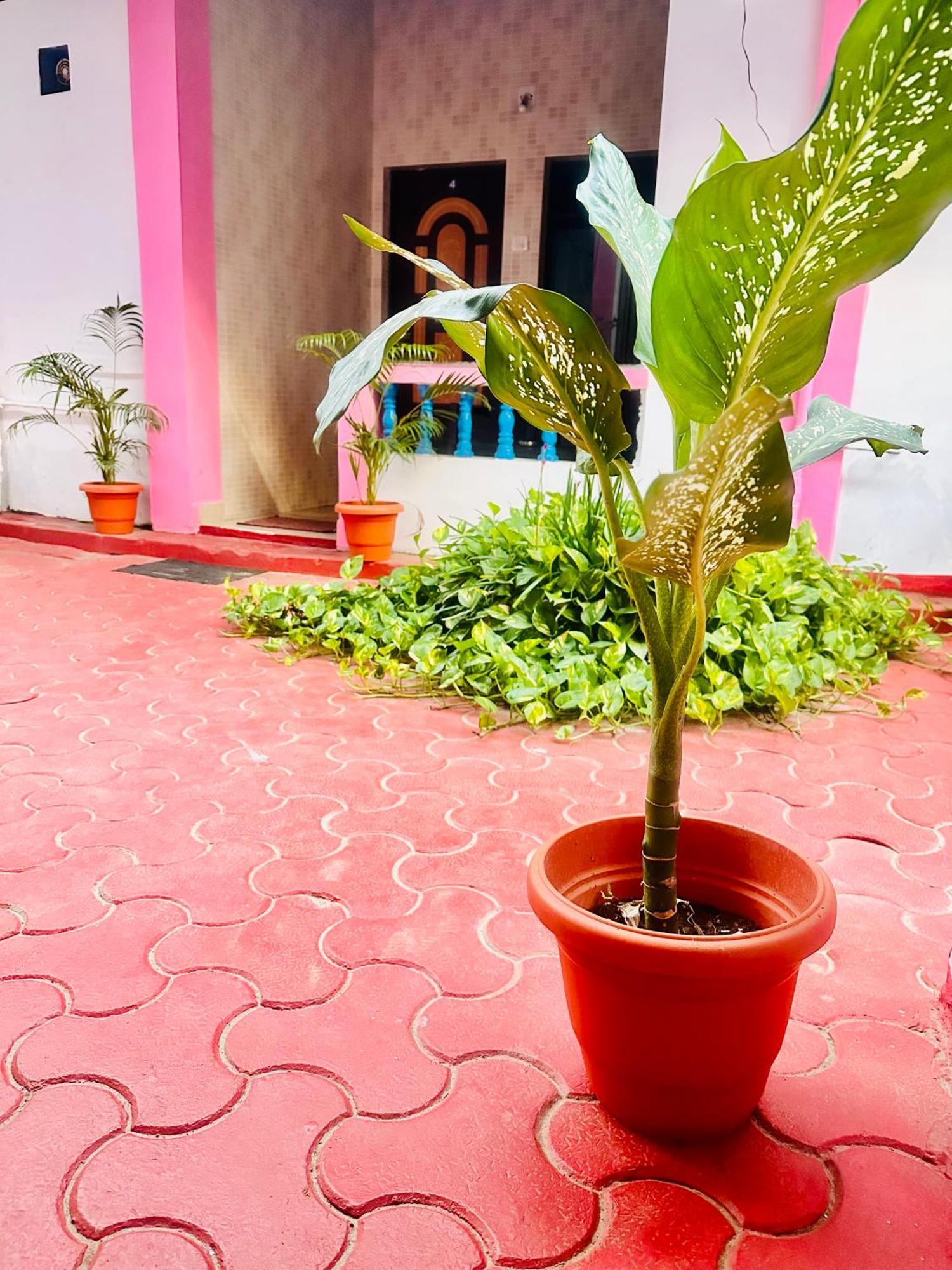 فندق Blue Mirage Palolem Goa كِناكونا المظهر الخارجي الصورة